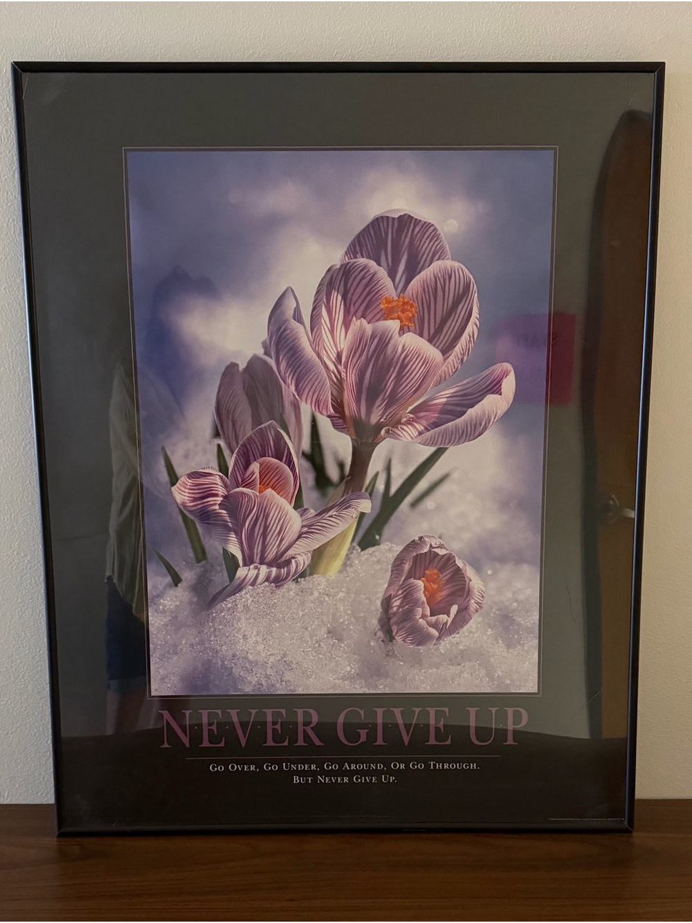 Never Give Up — Purple Crocus Motivational Poster